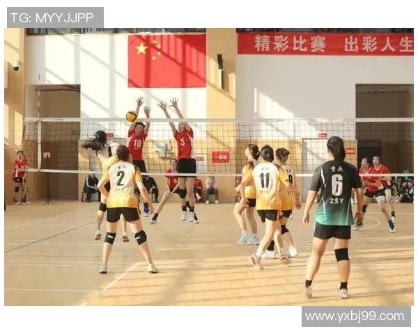 重庆排球队实力强劲荣登全国排球力量排行榜第五名