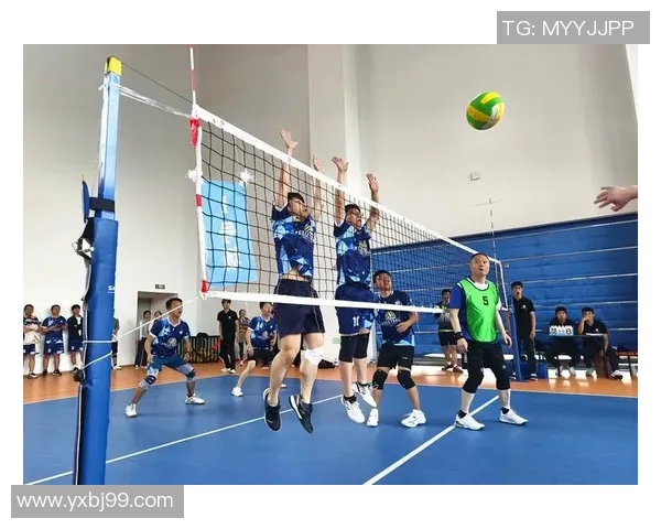 成都排球队精英赛表现评析团队协作的重要性与未来发展方向 成都排球队精英赛表现评析团队协作的重要性与未来发展方向